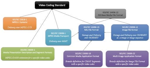 131st MPEG Meeting Group VVC systems carriage chart